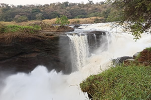 Murchison falls National Park